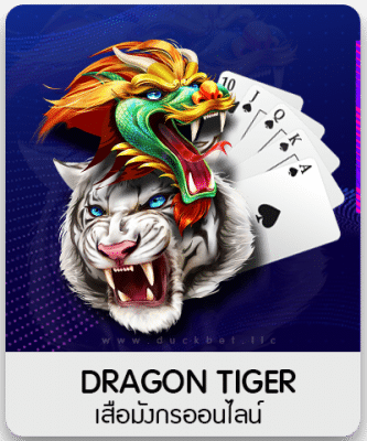 DRAGON TIGER